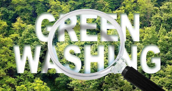 Große Lupe über Wald Titel: GREENWASHING