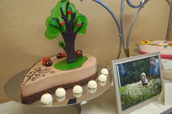 Torte mit Baum