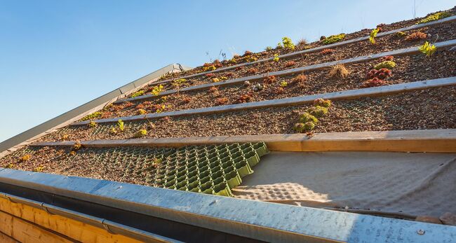 Dach mit Grünpflanzen / Dachbegrünung