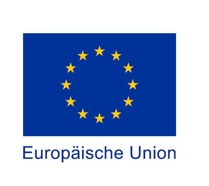 Europäische Union Logo