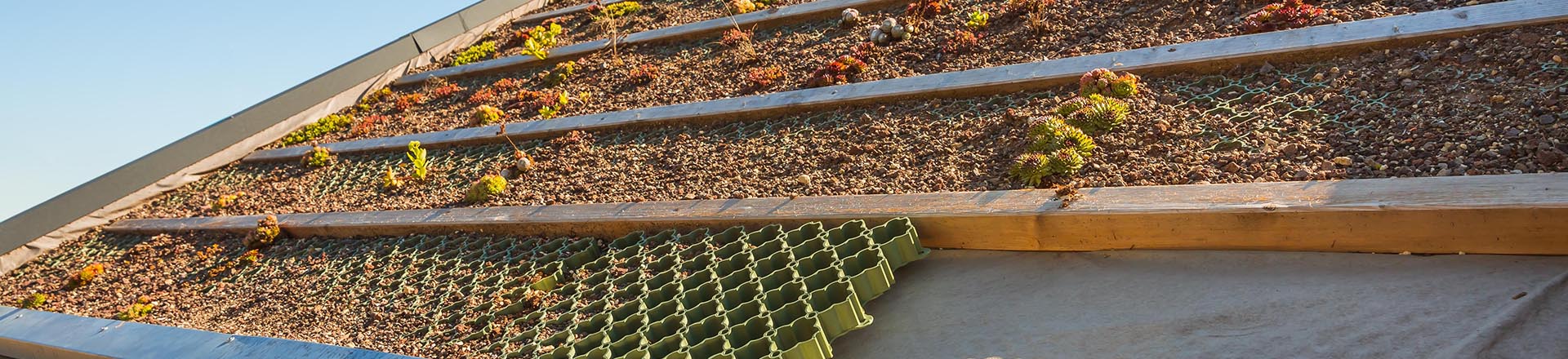 Dach mit Grünpflanzen / Dachbegrünung